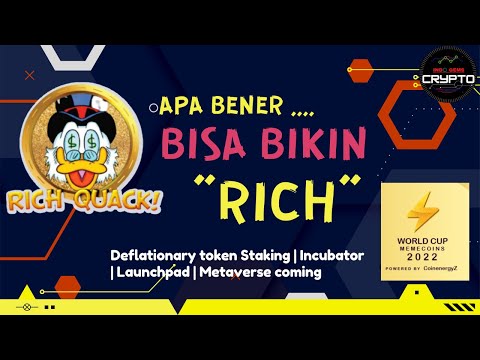 #238 RICH QUACK TOKEN - IS IT WORTH TO BUY ?? ALERT, MAYOR FINDING AUDIT !! | MEME COIN 2022